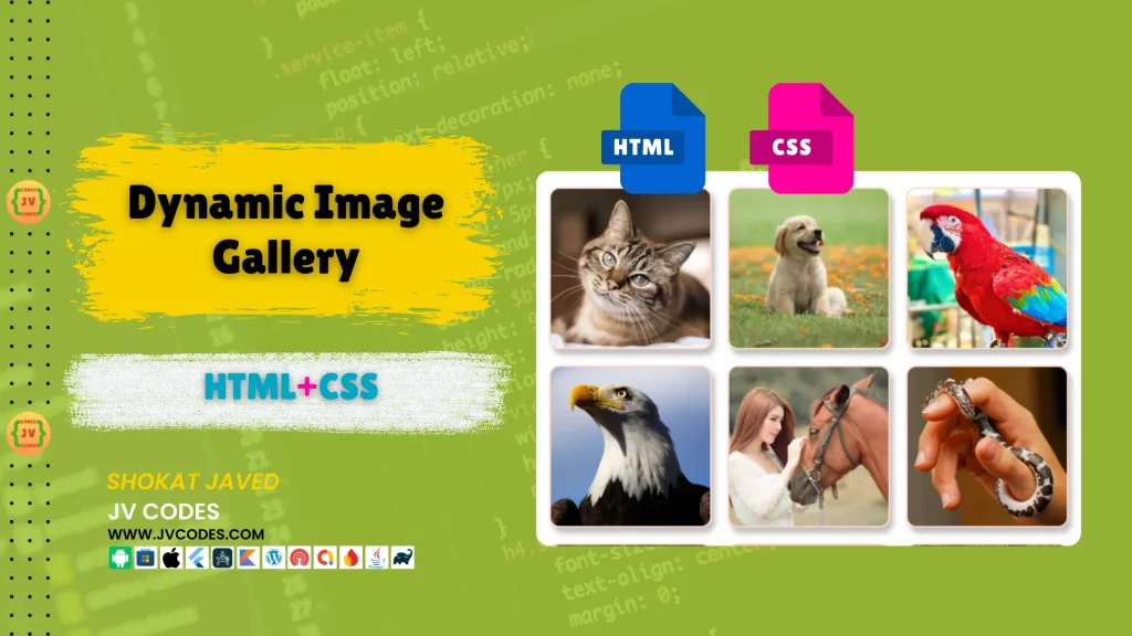 Dynamic Image Gallery