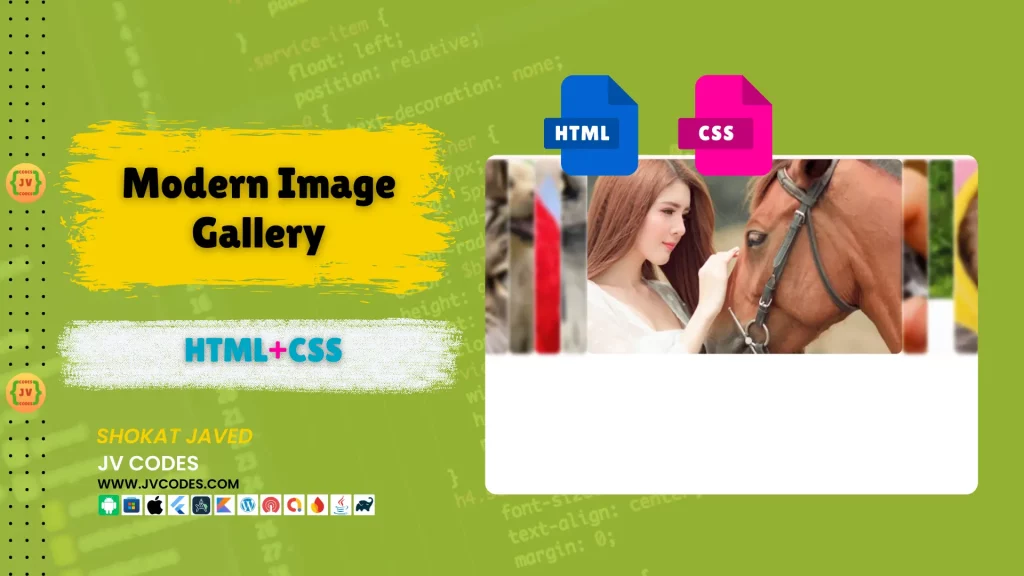 Modern Image Gallery in HTML and CSS