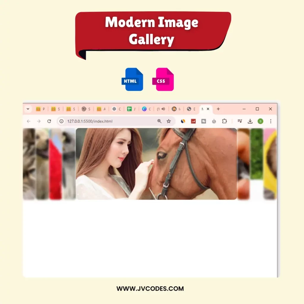 Modern Image Gallery Source Code